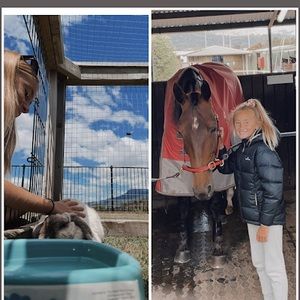 Meet your Posher, Billie